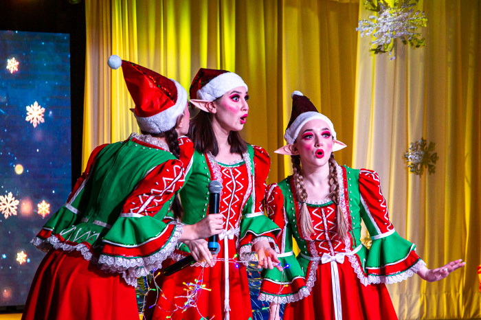 Новогодние представления для детей проходят в КемГИК